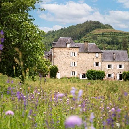 La Demeure Du Comte Bed & Breakfast Marcillac-Vallon Bagian luar foto