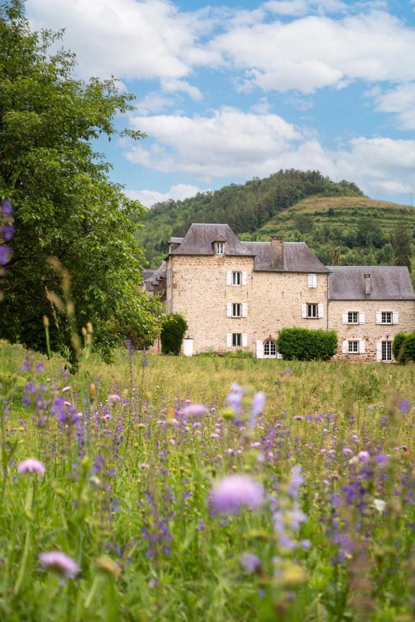 La Demeure Du Comte Bed & Breakfast Marcillac-Vallon Bagian luar foto