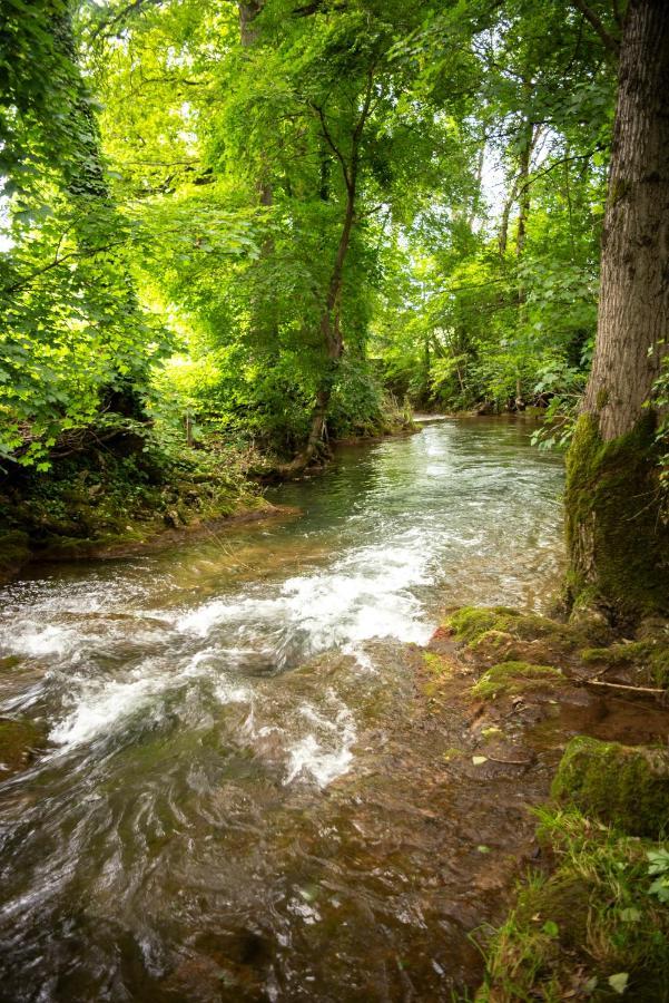 La Demeure Du Comte Bed & Breakfast Marcillac-Vallon Bagian luar foto