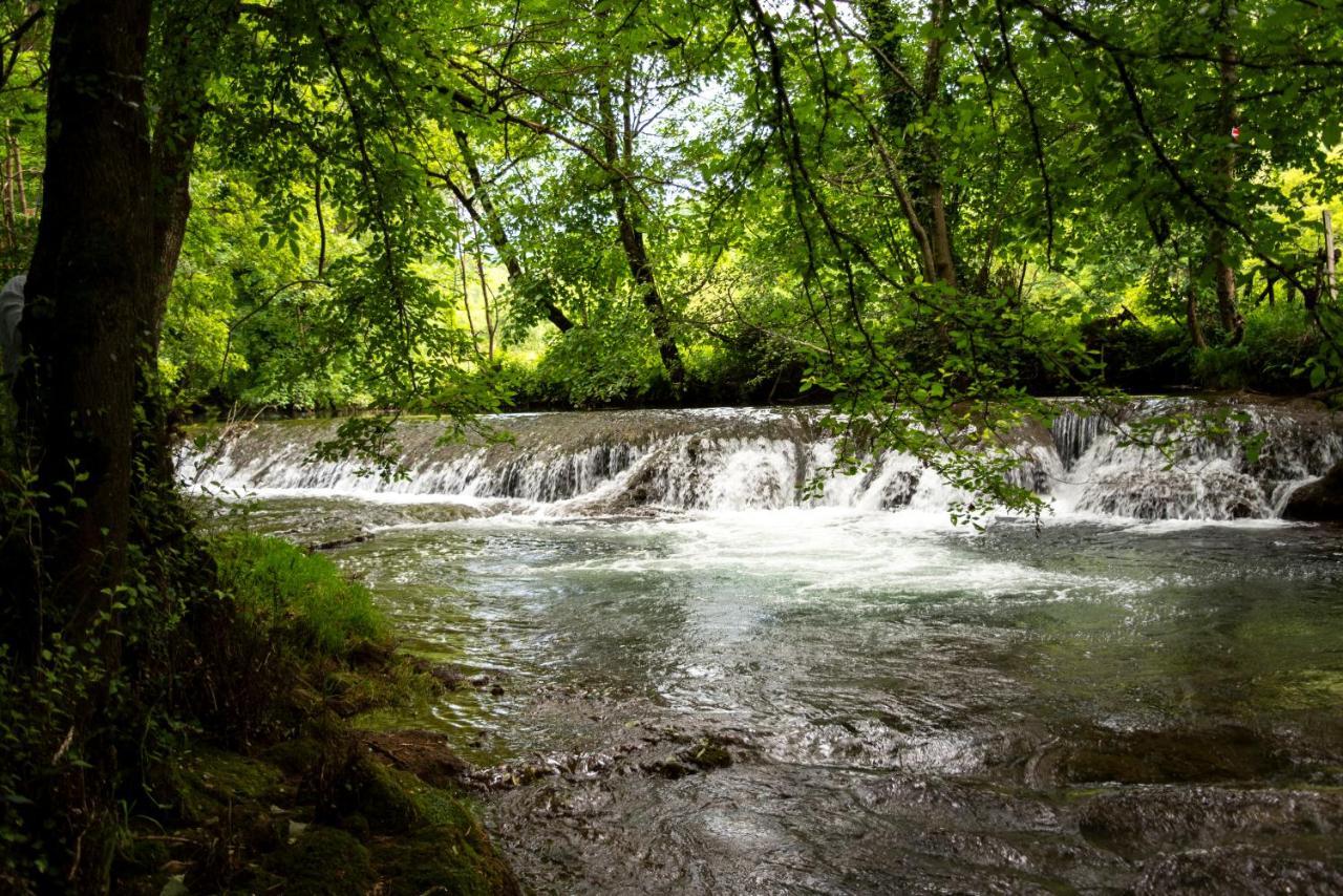 La Demeure Du Comte Bed & Breakfast Marcillac-Vallon Bagian luar foto