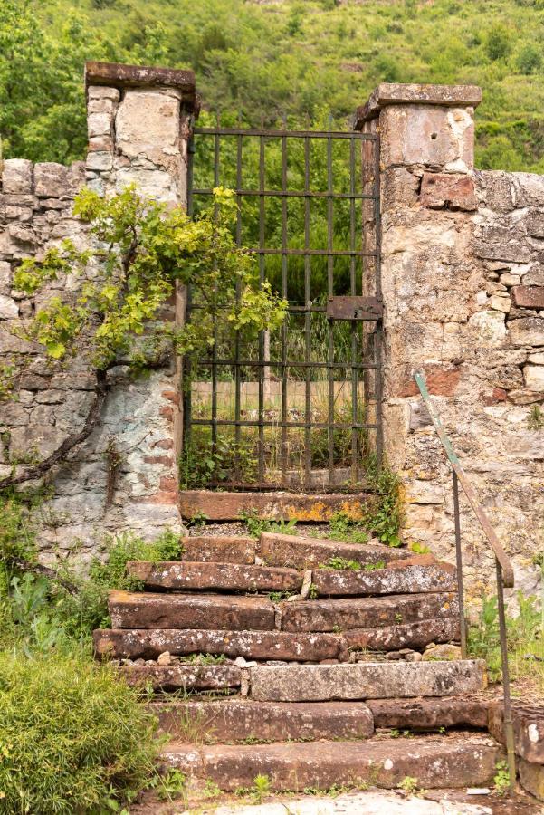 La Demeure Du Comte Bed & Breakfast Marcillac-Vallon Bagian luar foto